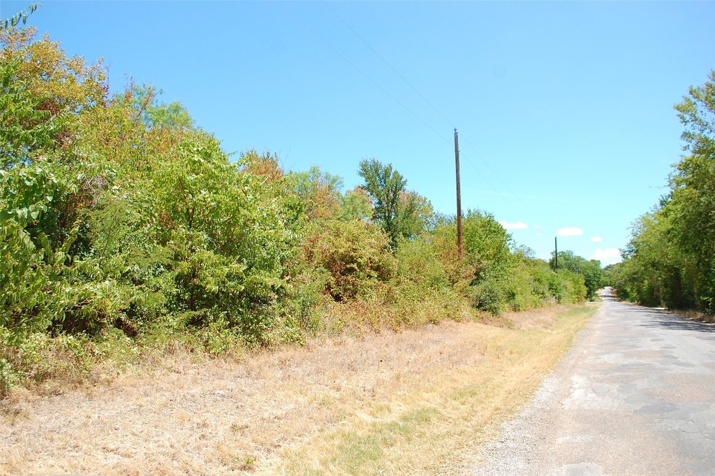 Picture 11