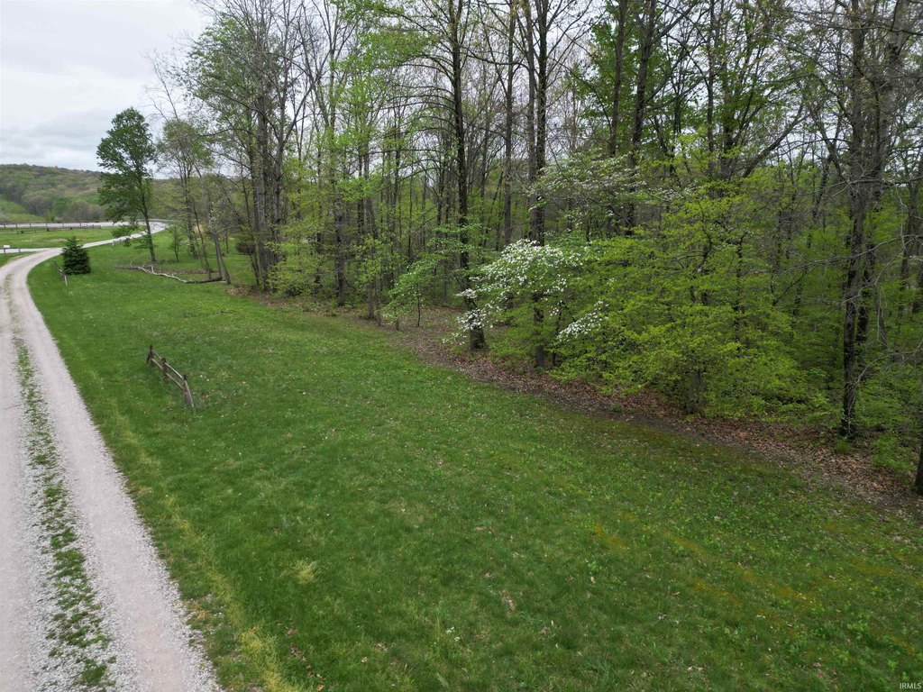 Picture 4