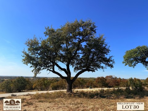 Acreage Tract with Rolling Topography