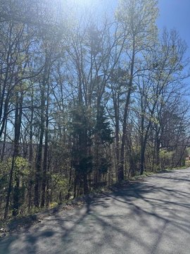 Residential Lot in Rocky Face
