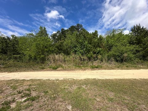 Hahira, GA 1.65-Acre Land