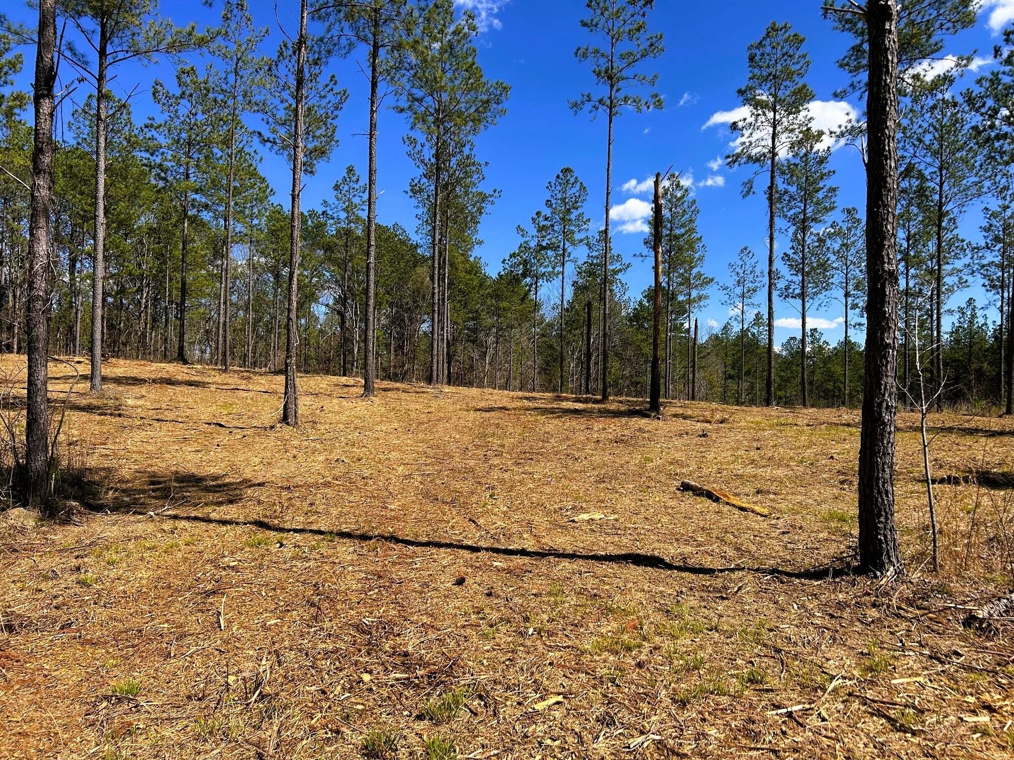 28.81 Acres in Cleveland, TN