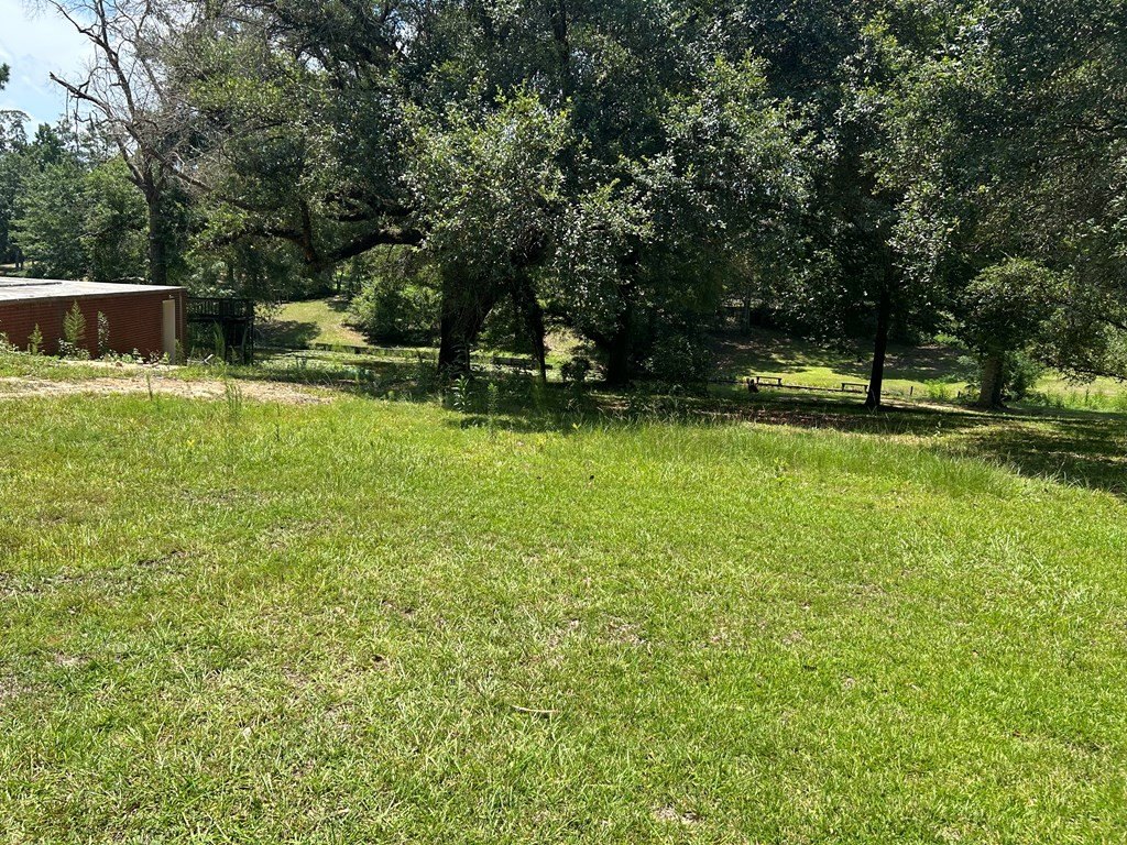 Picture 5
