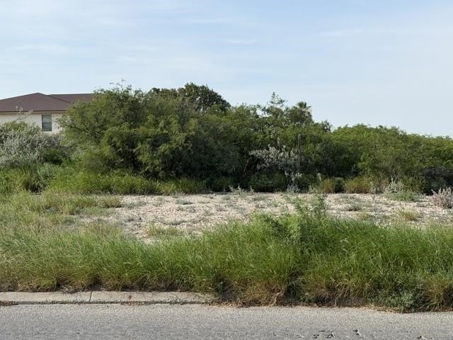 Picture 7