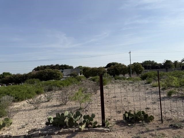 Picture 10