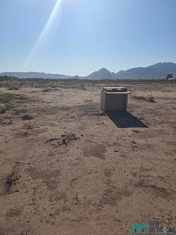 Picture 6