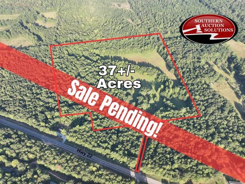 Unrestricted Land with Creek