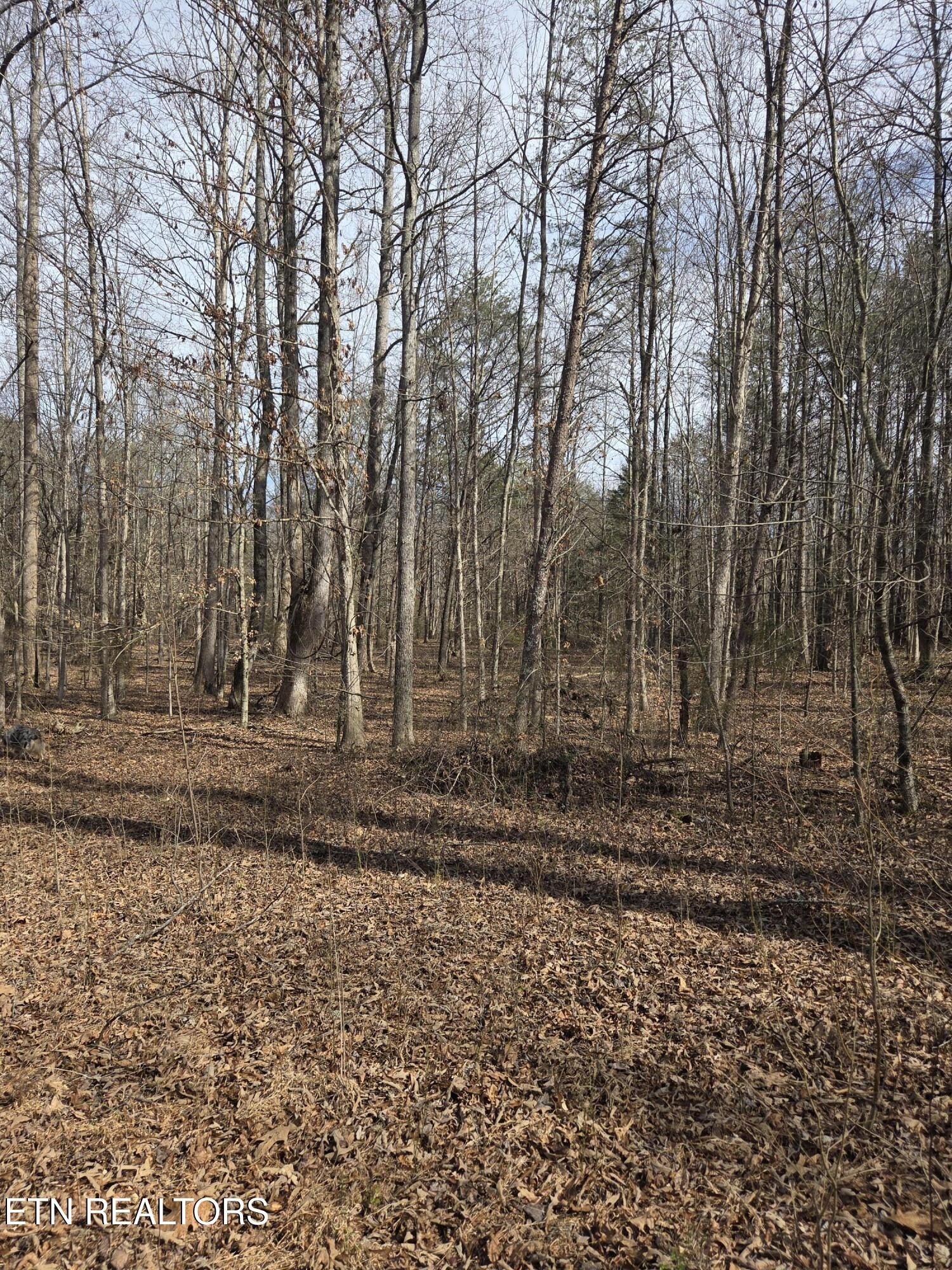 Unrestricted Land in Athens, TN