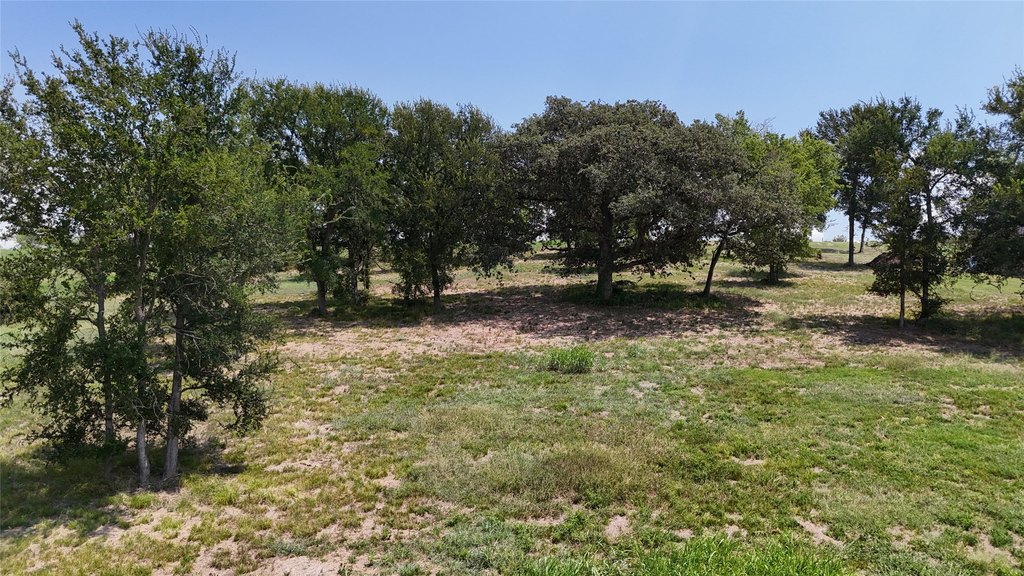Picture 28