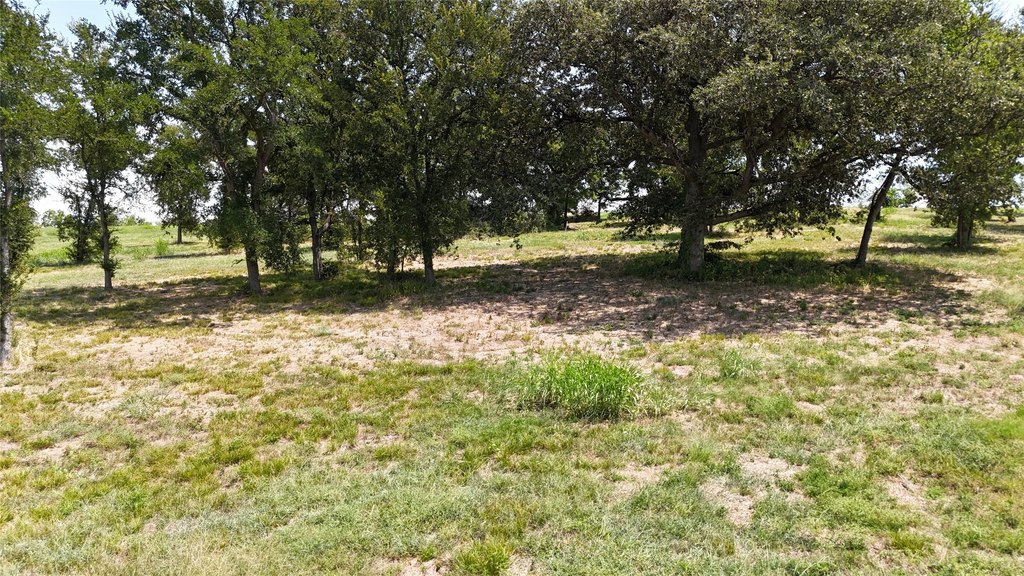 Picture 25