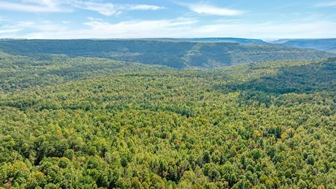 Off-Grid Hunting and Recreation Land