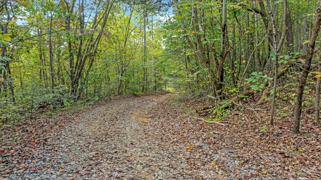 Picture 18