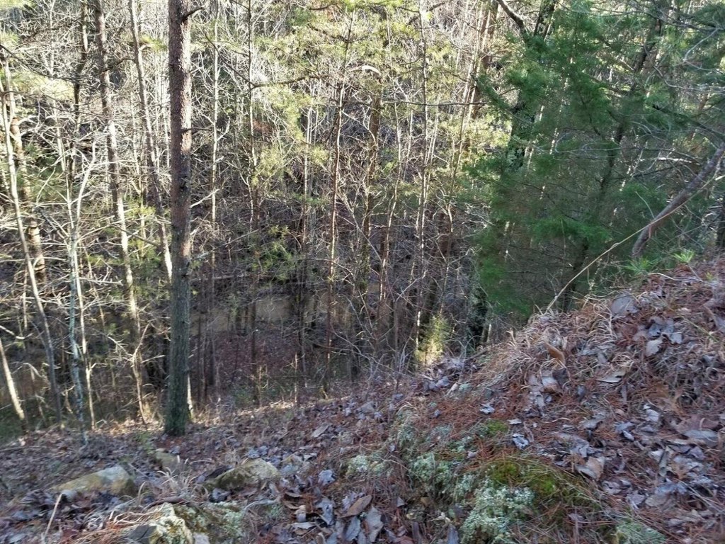 Picture 15