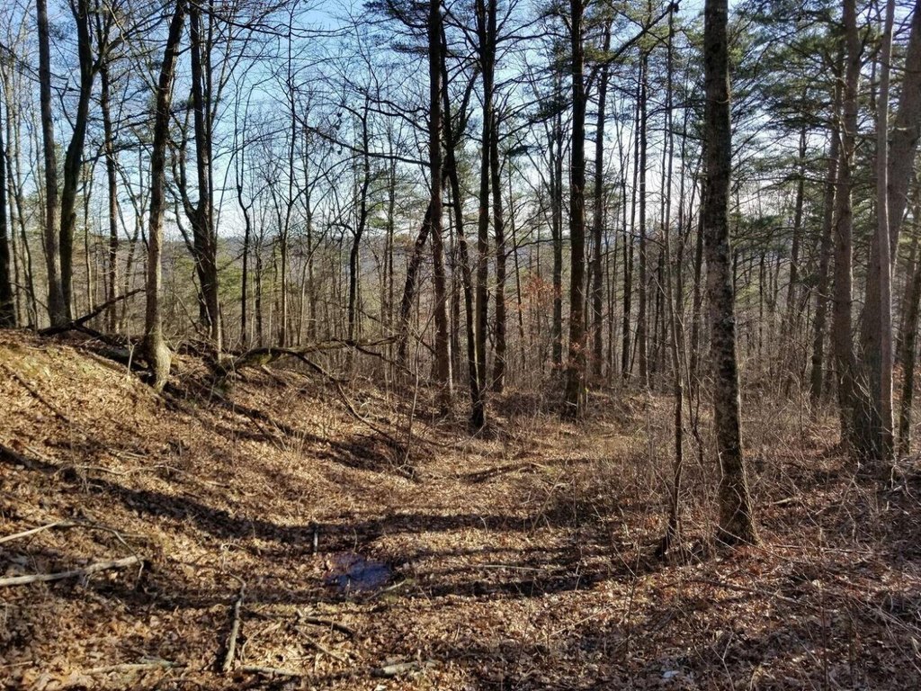 Picture 8