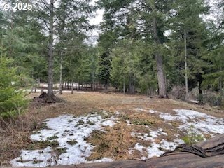 10 Acres in Snowden