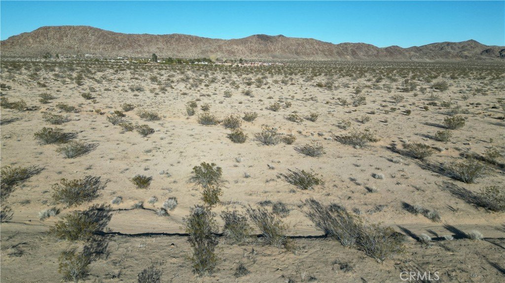 Picture 8