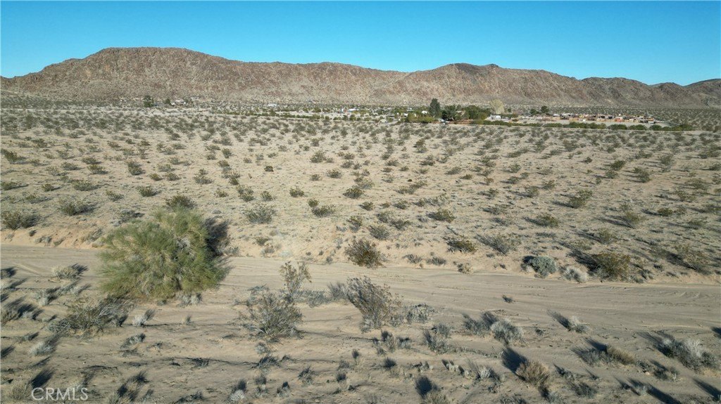 Picture 10