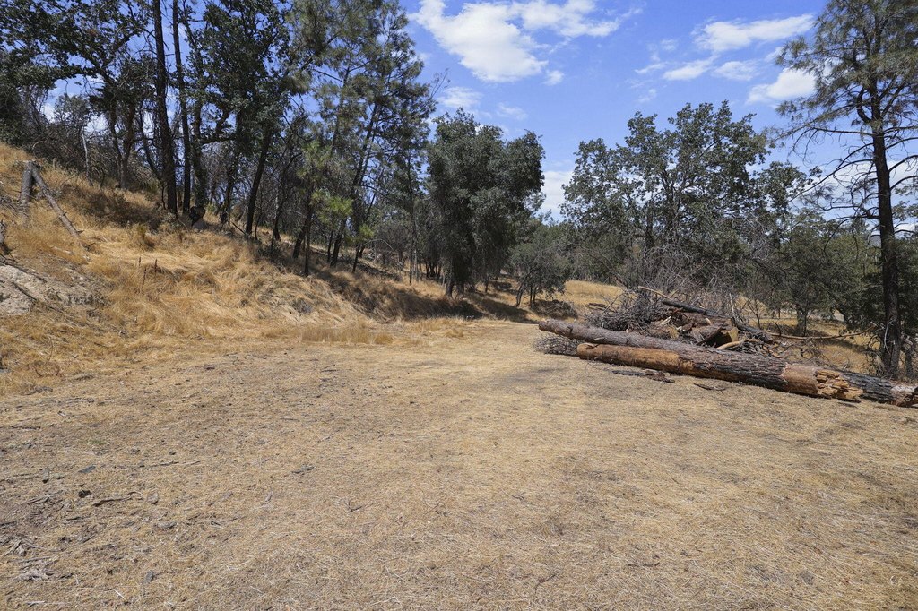 Picture 20
