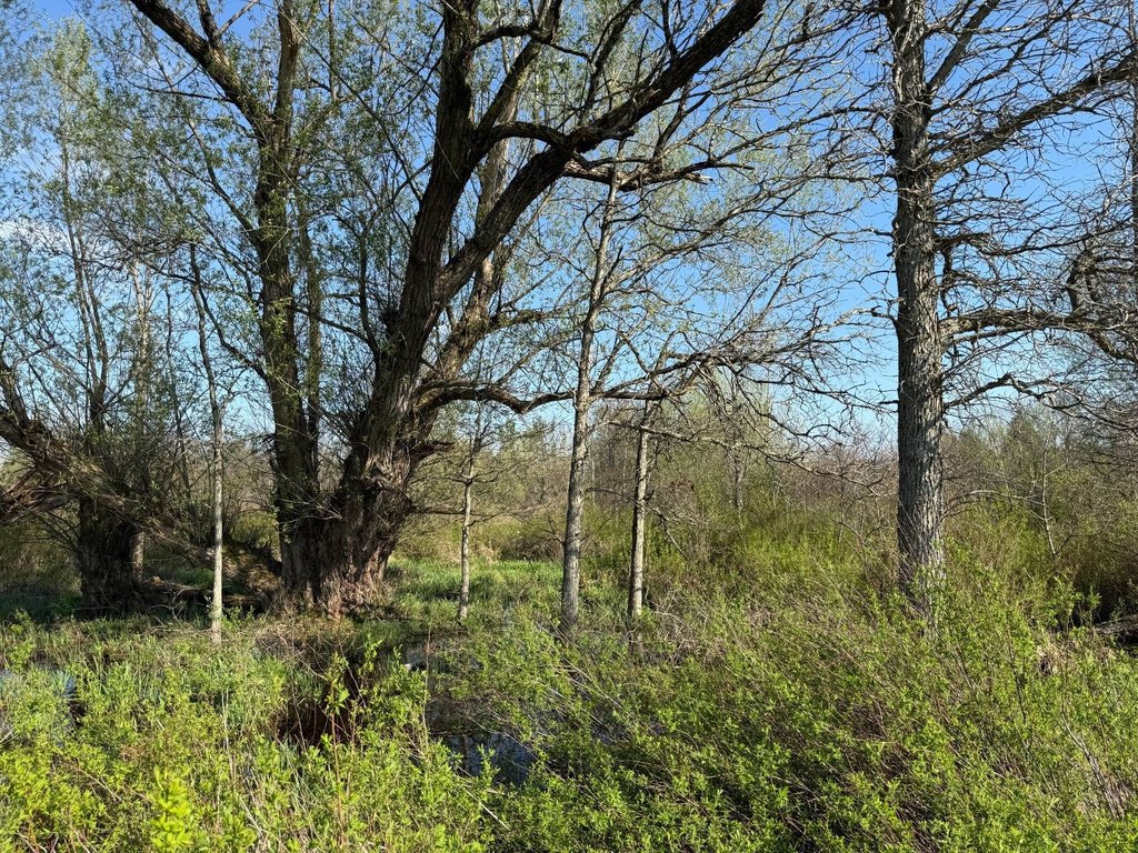 Picture 11