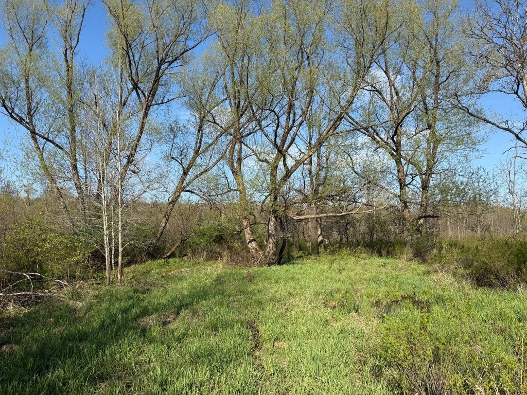 Picture 15