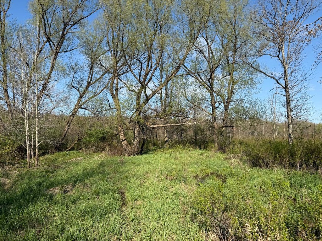 Picture 13