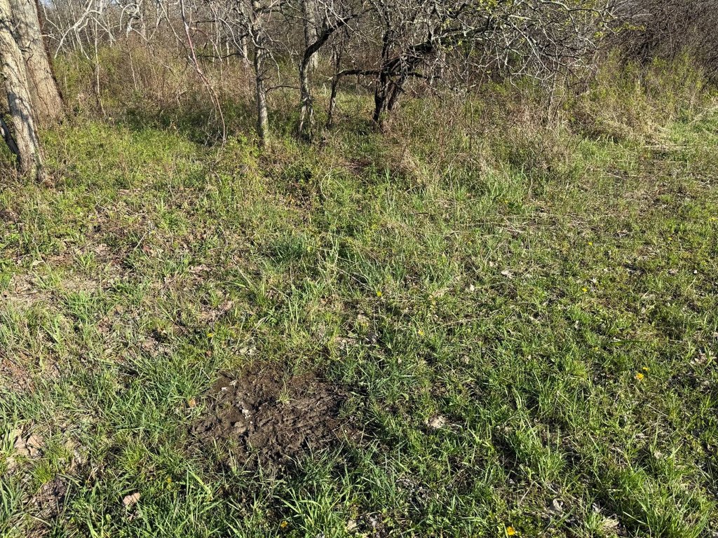 Picture 28