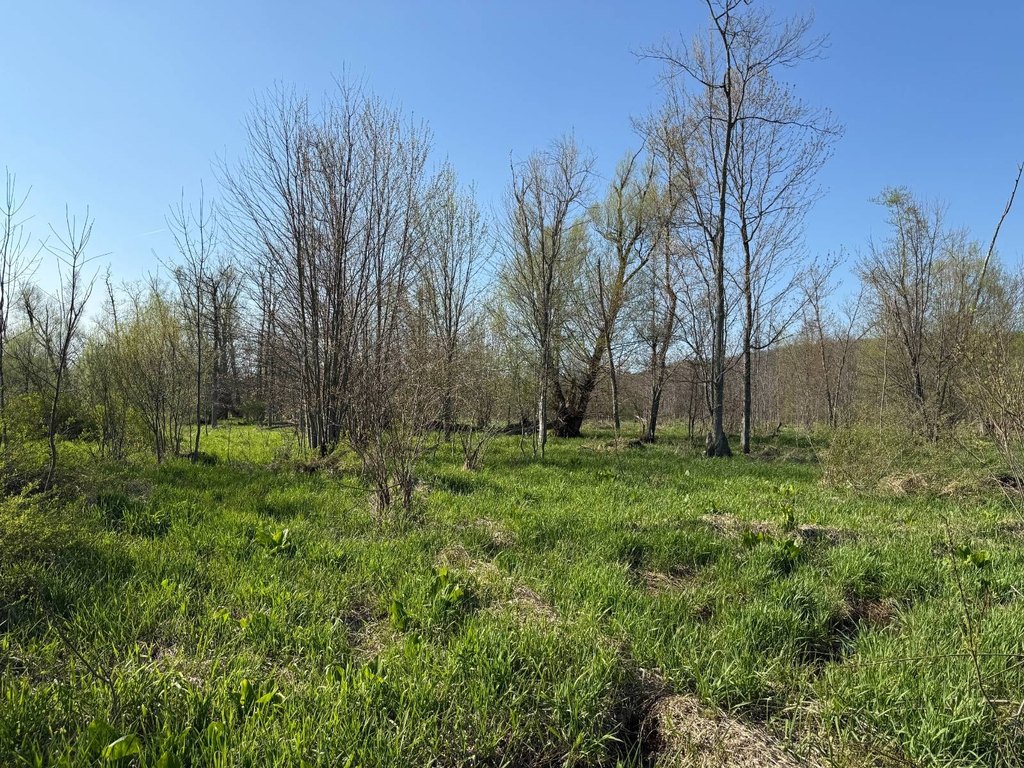 Picture 22