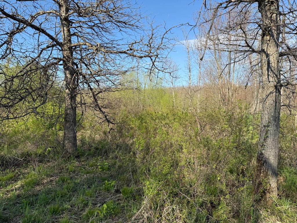 Picture 18