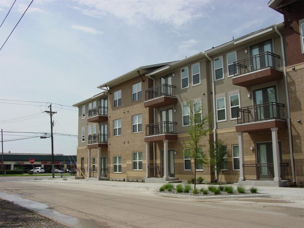 Picture 5