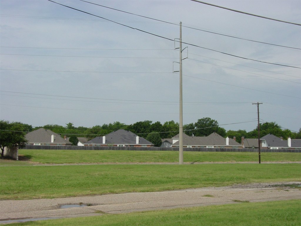 Picture 3