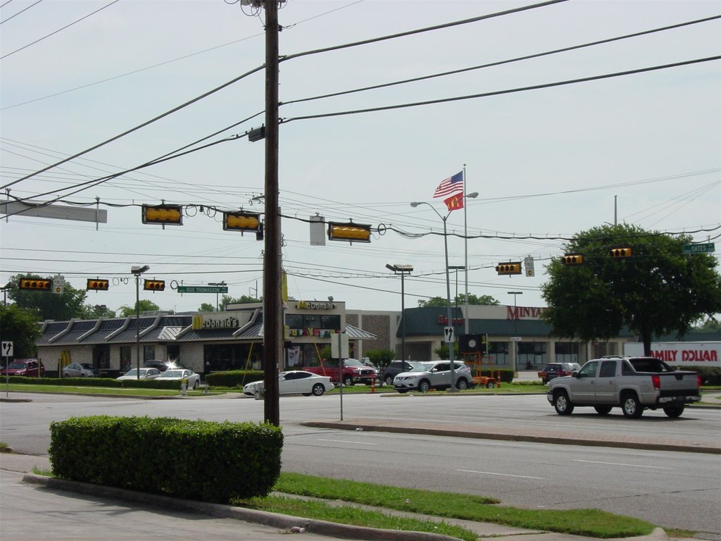 Picture 8