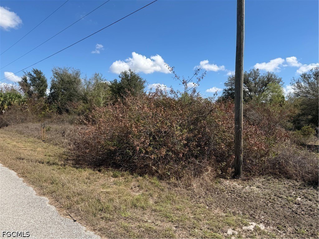 Picture 6