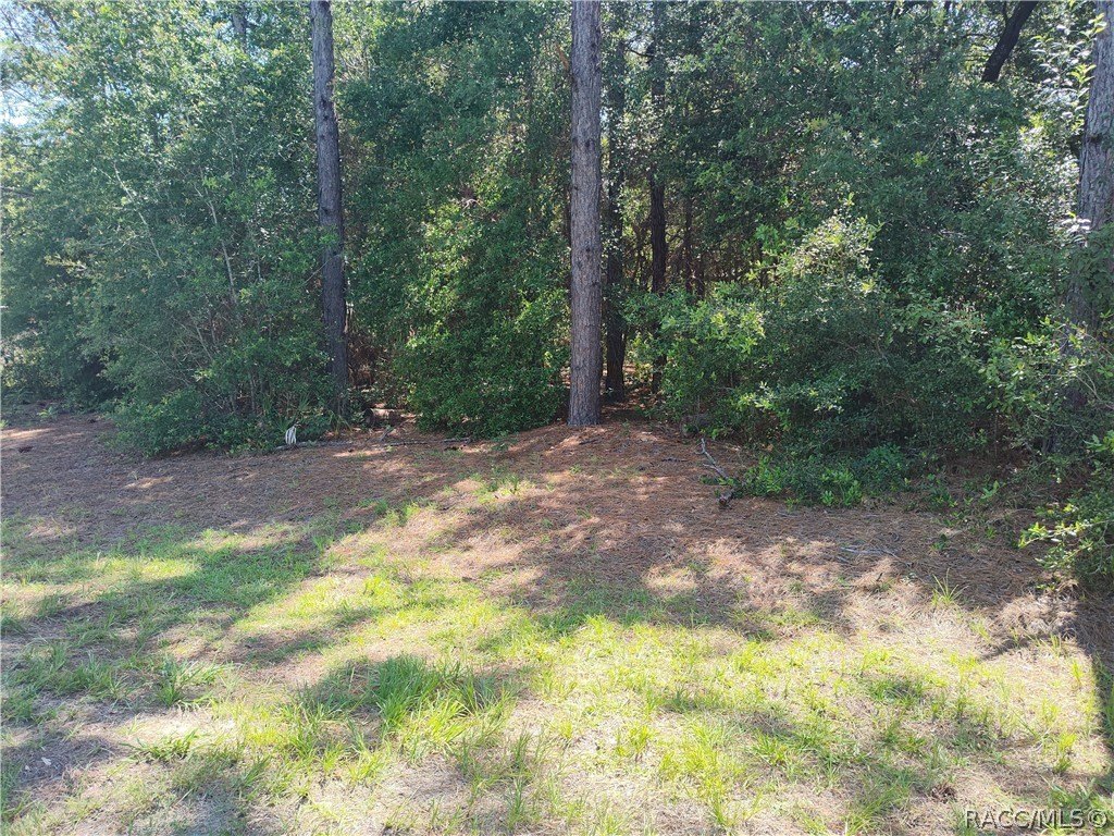 Picture 2