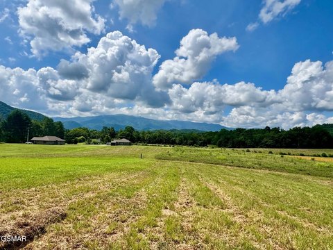 LAND - Cosby, TN