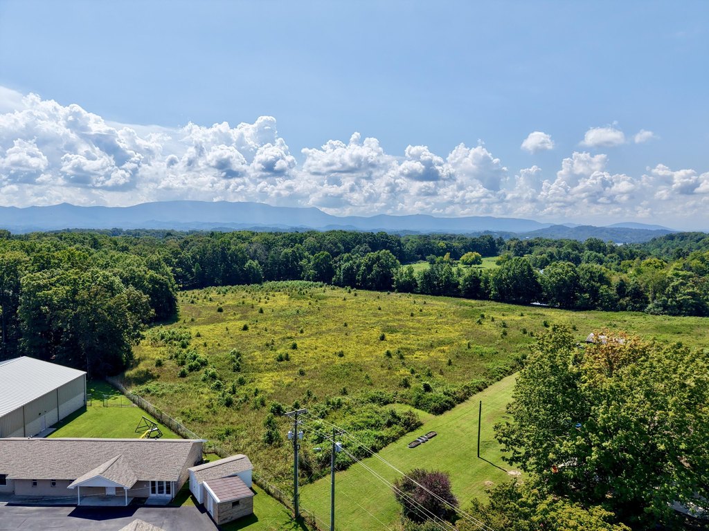 Picture 2