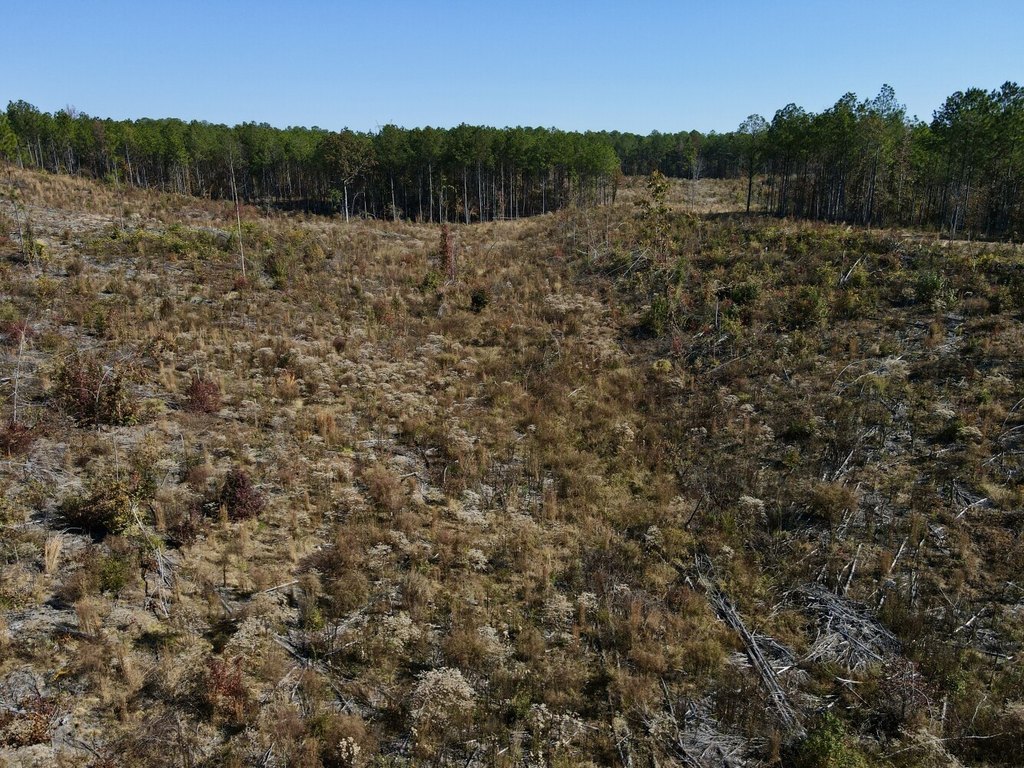 Picture 20
