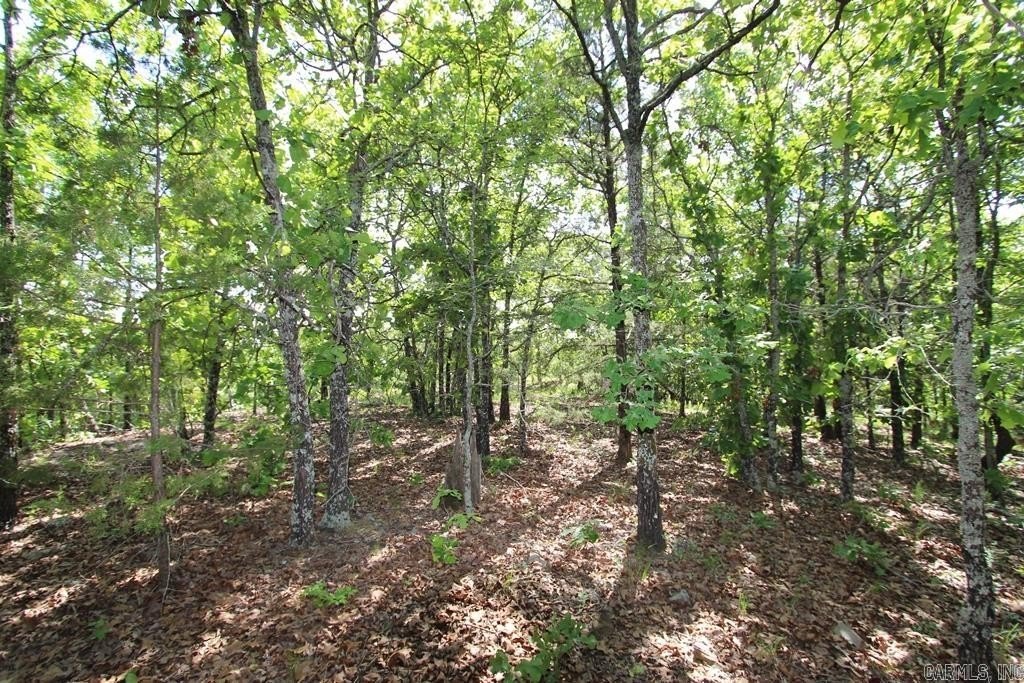 Picture 11