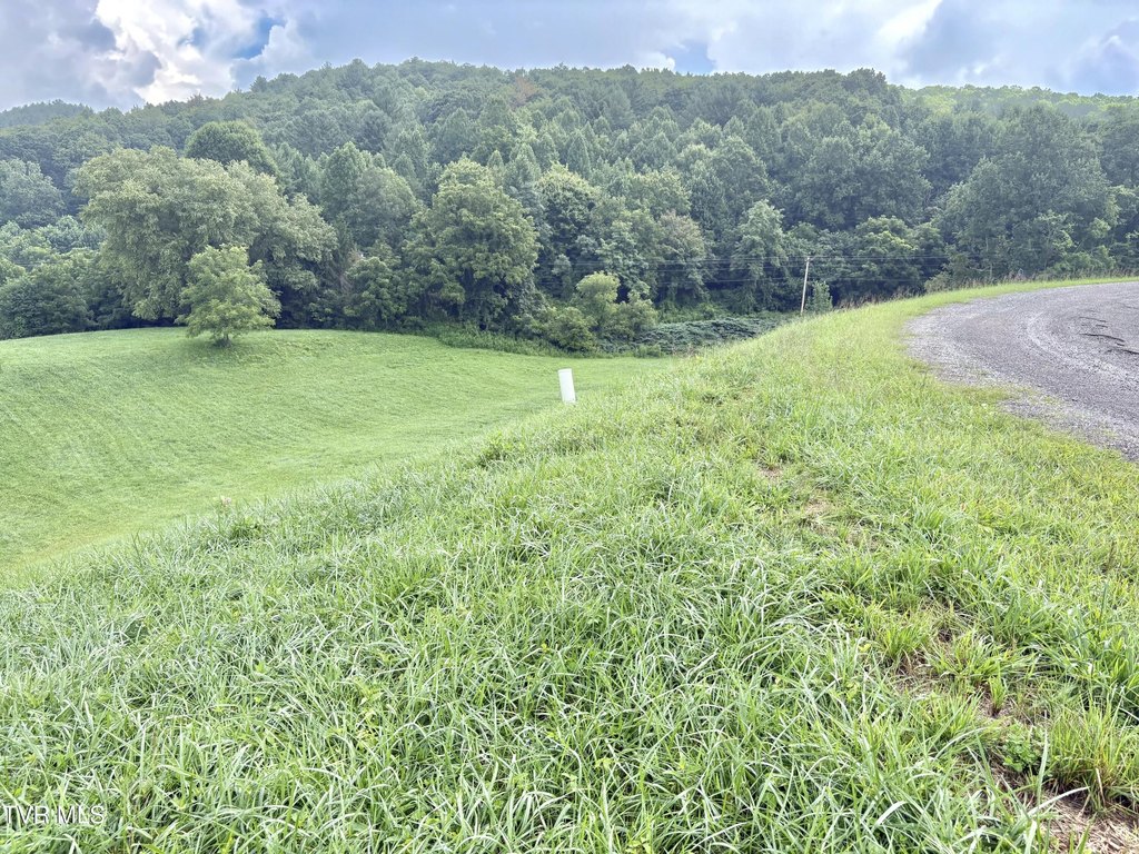 Picture 20