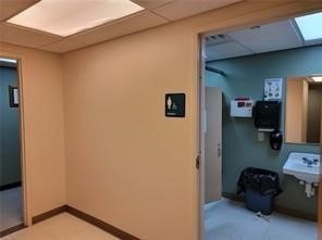 Picture 8