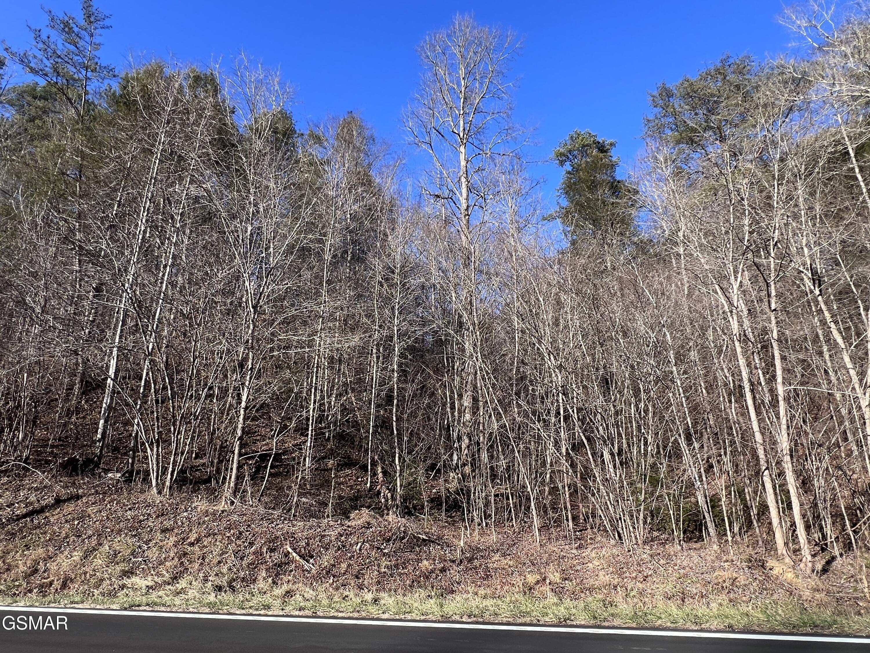 Smoky Mountain Land Opportunity