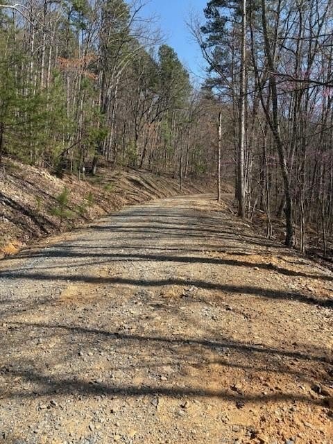 Land in Talking Rock Creek