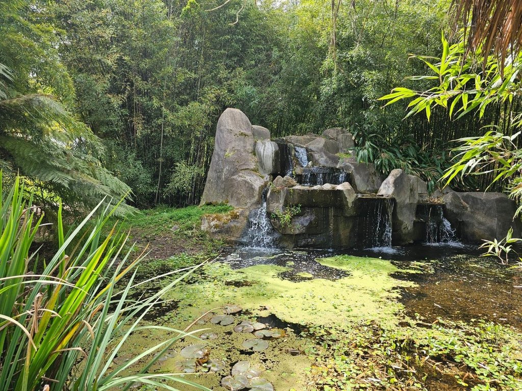 Picture 10