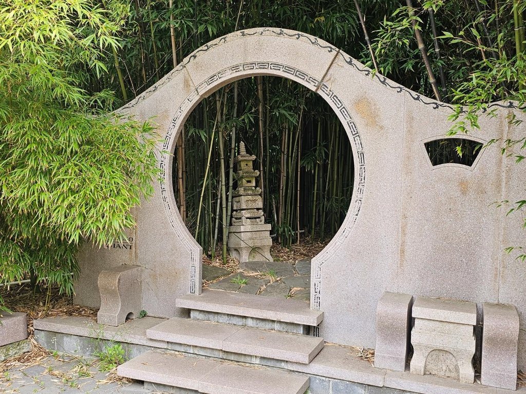 Picture 6