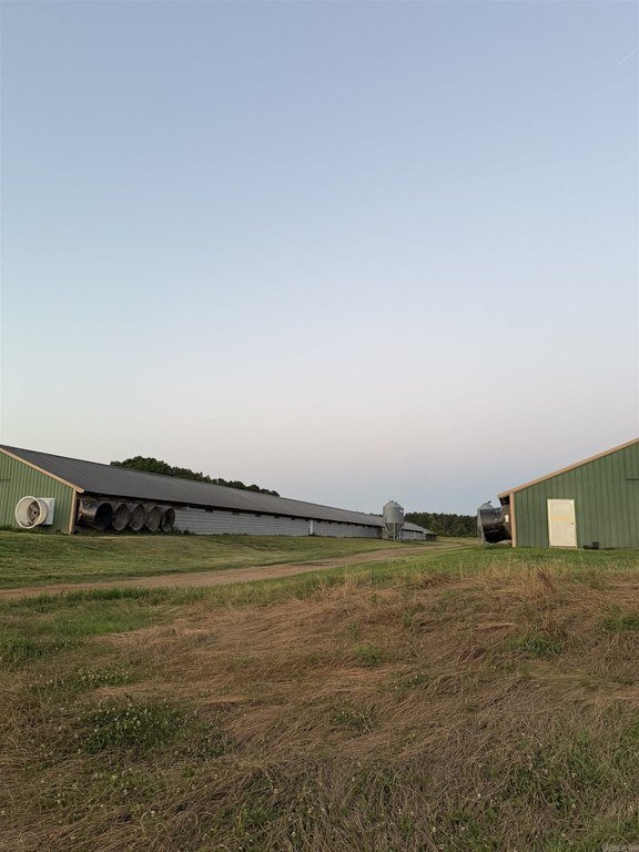 Picture 14