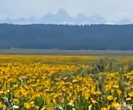 Island Park Land For Sale