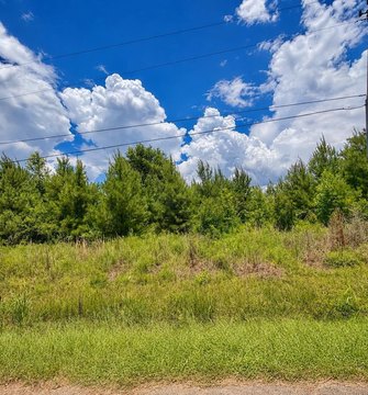 LAND - Picayune, MS