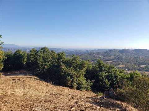 Avocado Grove on Gated Land