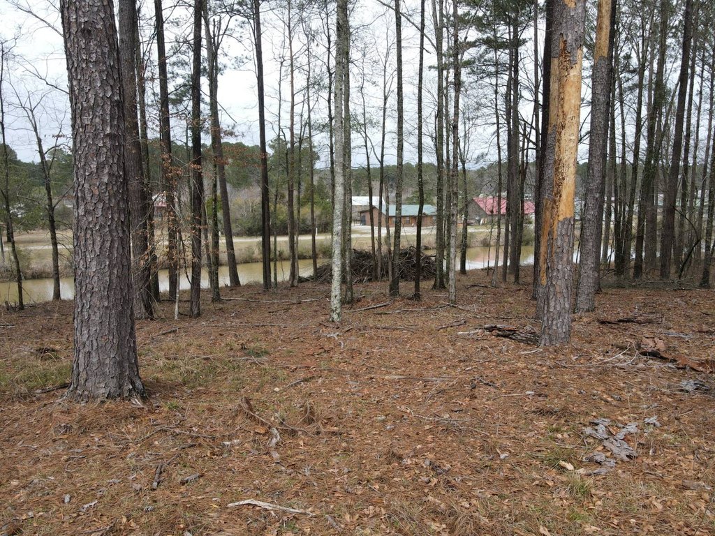 Picture 11