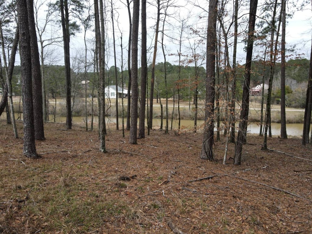 Picture 8