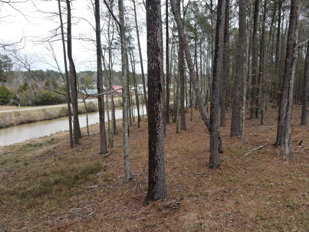 Picture 13